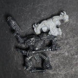 Chaos Renegade 3 Arms, Tzeentch, Rogue Trader 40k, GW