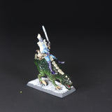 Dark Elves, Mounted Sorceress on Cold One