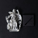 Dark Elves, Metal Corsair Champion, Games Workshop