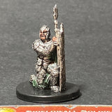 10/60, LG 7, Shieldwall Soldier, with Card D&D