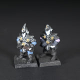 Dark Elves, C09 Swordsman