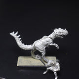 Lizardmen, Cold One Rider, Metal, Games Workshop