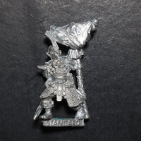 Dark Elves, Standard Bearer, Marauder, Citadel, Damaged