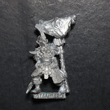 Dark Elves, Standard Bearer, Marauder, Citadel, Damaged