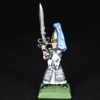 High Elves, Painted Swordmaster, Warhammer Fantasy