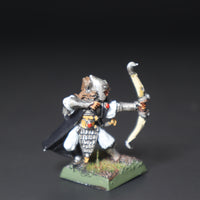 High Elves, Shadow Warriors, Painted