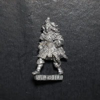 Dark Elves, Witch Elf, Marauder, Citadel, Damaged