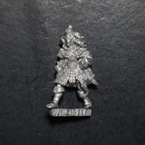 Dark Elves, Witch Elf, Marauder, Citadel, Damaged