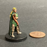 17/18, D&D Heroes, Female Elf Druid D&D