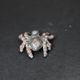 Spider, 5004 Tomb of Spells, Grenadier Models
