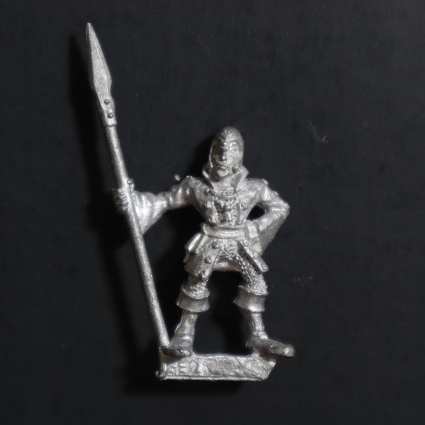 High Elves, Marauder Sea Elf Spearman, MM82