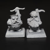 Dwarfs, Crossbowmen, Querrellers, Marauder, Metal