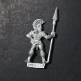 High Elves, Marauder Sea Elf Spearman, MM82