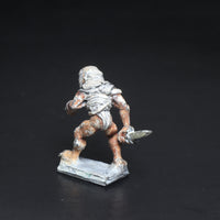 Citadel, Assassin / Thief