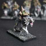 Converted Night Goblin Wolf Rider Archer Unit