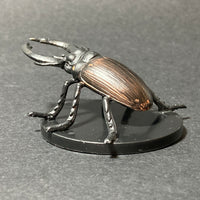 2/60, LG 26, Celestial Giant Stag Beetle D&D