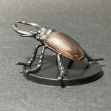 2/60, LG 26, Celestial Giant Stag Beetle D&D