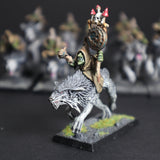 Converted Night Goblin Wolf Rider Archer Unit