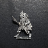 Dark Elves, Witch Elf w/ Sword, Marauder, Citadel