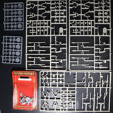 Undead, Skeleton Warrior Regiment, Vampire Counts, Games Workshop