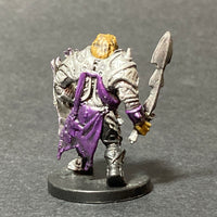 1/60, Good B 38, Dragonborn Paladin of Bahamut D&D