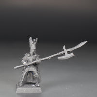 High Elves, Phoenix Guard