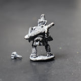 Sir Palomides Pureheart, Warrior Knights of Law, Citadel Miniatures