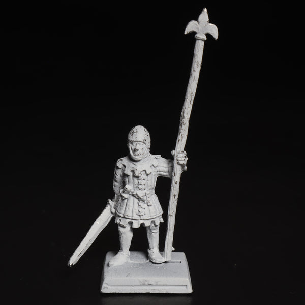 Bretonnians, Standard, Command, Bowman, Archer