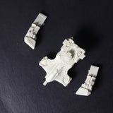 Tau, Epic, Devilfish, Forge World