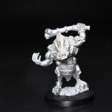Dire Wereboar, 02799, Reaper Miniatures