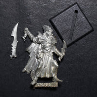 Dark Elves, Corsair, damaged