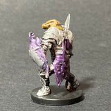 1/60, Good B 38, Dragonborn Paladin of Bahamut D&D