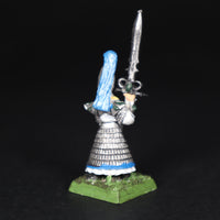 High Elves, Painted Swordmaster, Warhammer Fantasy