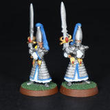 High Elves, Painted Swordmasters x8, Warhammer Fantasy