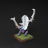 Dark Elves, Witch Elf, Games Workshop