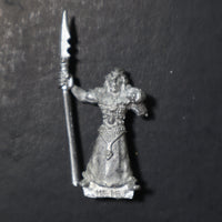 High Elves, Marauder Elf Spearman, MM82