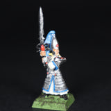 High Elves, Painted Swordmaster, Warhammer Fantasy