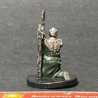 10/60, LG 7, Shieldwall Soldier, with Card D&D