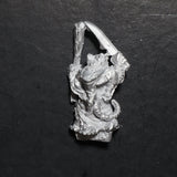 Skaven, Plague Monk