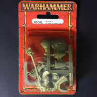High Elves, Silver Helms Standard Blister