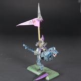 Dark Elves, Cold One Knight Standard Bearer