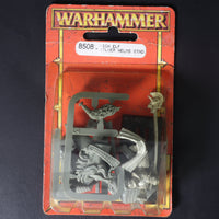 High Elves, Silver Helms Standard Blister