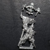Dark Elves, Standard, Marauder, Citadel, Damaged