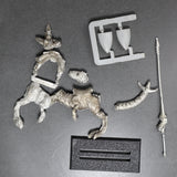 Dark Elves, Cold One Knight, Warhammer Fantasy