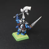 Dark Elves, Corsair, Games Workshop