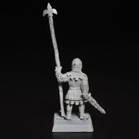 Bretonnians, Standard, Command, Bowman, Archer