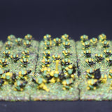 Orks, Epic, Boyz Mob Company