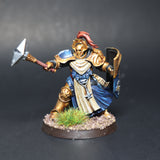 Stormcast Eternals, Sequitors, Pro Painted
