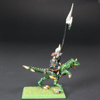 Dark Elves, Cold One Knight Standard Bearer