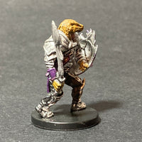 1/60, Good B 38, Dragonborn Paladin of Bahamut D&D